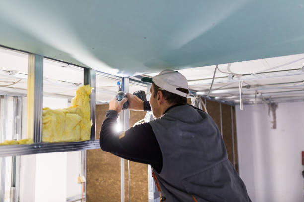 Best Insulation Removal  in Chatfield, MN