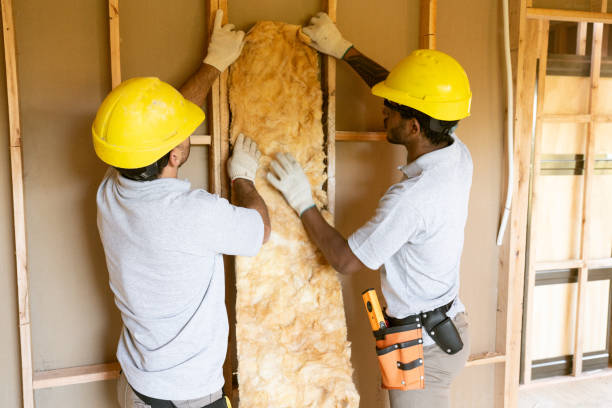 Types of Insulation We Offer in Chatfield, MN